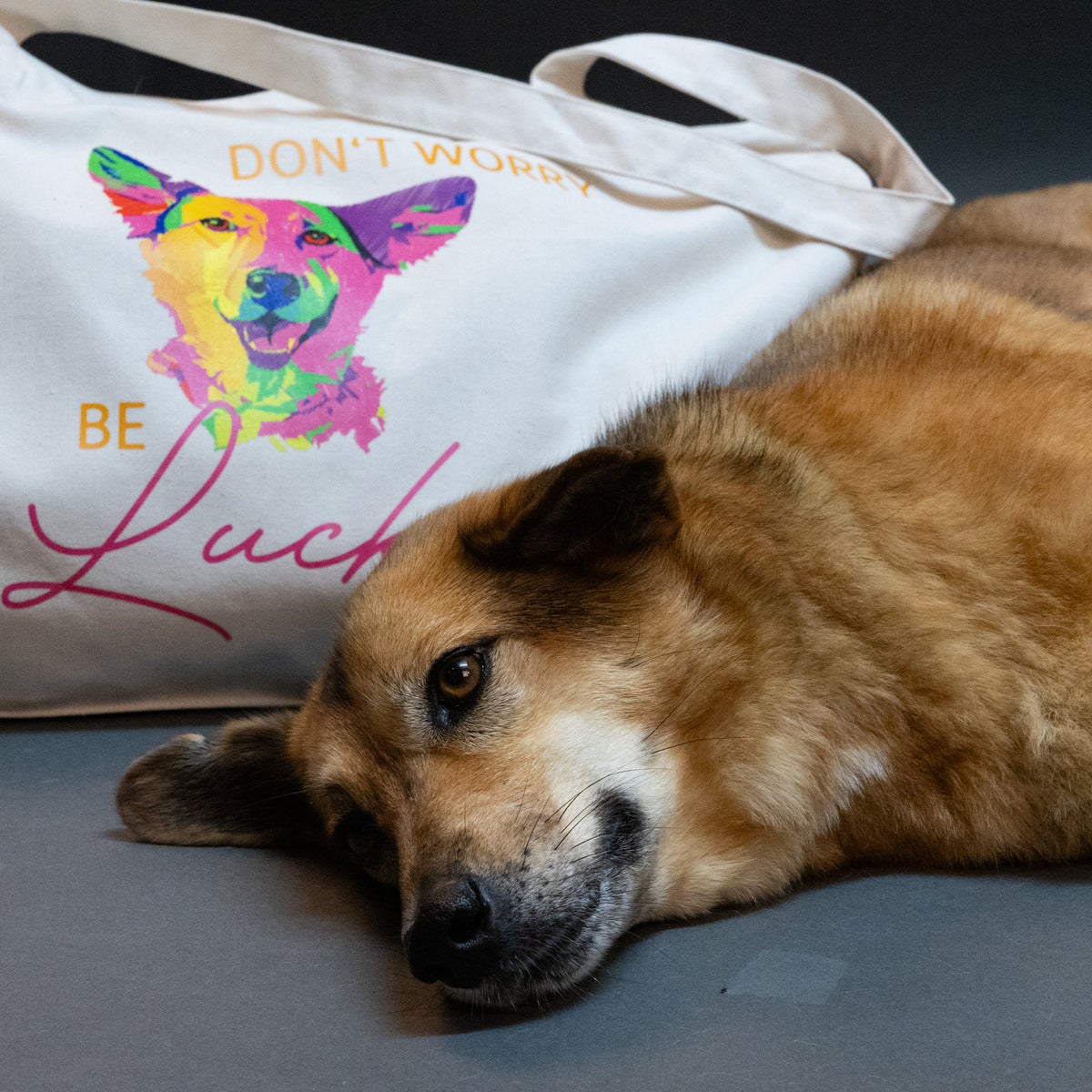 Shopper "Lucky"